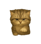 言葉のない猫たち55（個別スタンプ：39）