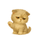 言葉のない猫たち55（個別スタンプ：40）
