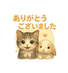 猫の種類いろいろ日常会話1（個別スタンプ：2）
