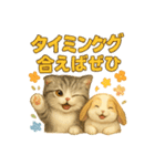 猫の種類いろいろ日常会話1（個別スタンプ：3）