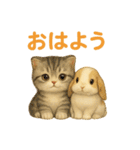 猫の種類いろいろ日常会話1（個別スタンプ：5）