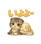 猫の種類いろいろ日常会話1（個別スタンプ：6）