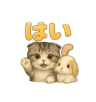 猫の種類いろいろ日常会話1（個別スタンプ：7）