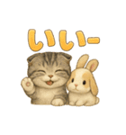 猫の種類いろいろ日常会話1（個別スタンプ：10）