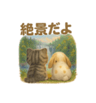 猫の種類いろいろ日常会話1（個別スタンプ：12）