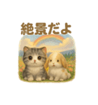 猫の種類いろいろ日常会話1（個別スタンプ：13）