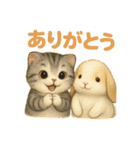 猫の種類いろいろ日常会話1（個別スタンプ：14）