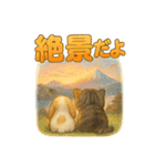 猫の種類いろいろ日常会話1（個別スタンプ：15）