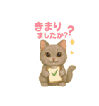 猫の種類いろいろ日常会話1（個別スタンプ：16）