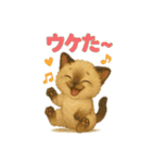 猫の種類いろいろ日常会話1（個別スタンプ：17）
