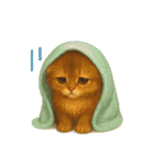 猫の種類いろいろ日常会話1（個別スタンプ：22）