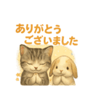 猫の種類いろいろ日常会話1（個別スタンプ：31）