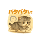 猫の種類いろいろ日常会話1（個別スタンプ：35）