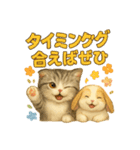 猫の種類いろいろ日常会話1（個別スタンプ：36）