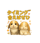 猫の種類いろいろ日常会話1（個別スタンプ：37）