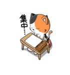 三毛猫そろばん2（個別スタンプ：3）
