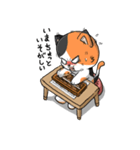 三毛猫そろばん2（個別スタンプ：4）