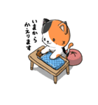 三毛猫そろばん2（個別スタンプ：5）