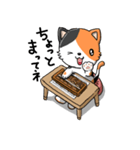 三毛猫そろばん2（個別スタンプ：13）