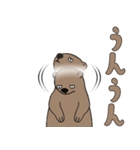 やる気のないマーモット3【日常編2】（個別スタンプ：7）