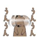 やる気のないマーモット3【日常編2】（個別スタンプ：8）