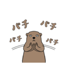 やる気のないマーモット3【日常編2】（個別スタンプ：11）