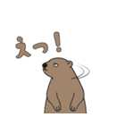 やる気のないマーモット3【日常編2】（個別スタンプ：25）