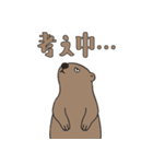やる気のないマーモット3【日常編2】（個別スタンプ：31）