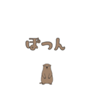 やる気のないマーモット3【日常編2】（個別スタンプ：37）