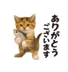 子猫の日常フレーズ（敬語）（個別スタンプ：6）