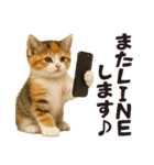 子猫の日常フレーズ（敬語）（個別スタンプ：32）