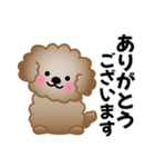 ワンコスタンプ♪トイプードル茶（個別スタンプ：1）