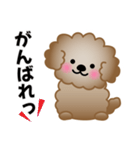 ワンコスタンプ♪トイプードル茶（個別スタンプ：8）