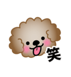ワンコスタンプ♪トイプードル茶（個別スタンプ：10）