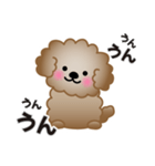 ワンコスタンプ♪トイプードル茶（個別スタンプ：13）