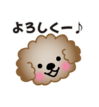 ワンコスタンプ♪トイプードル茶（個別スタンプ：17）