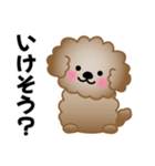 ワンコスタンプ♪トイプードル茶（個別スタンプ：20）