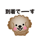 ワンコスタンプ♪トイプードル茶（個別スタンプ：21）