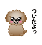ワンコスタンプ♪トイプードル茶（個別スタンプ：22）