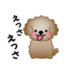 ワンコスタンプ♪トイプードル茶（個別スタンプ：23）