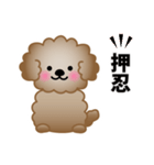ワンコスタンプ♪トイプードル茶（個別スタンプ：24）