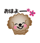 ワンコスタンプ♪トイプードル茶（個別スタンプ：25）
