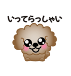 ワンコスタンプ♪トイプードル茶（個別スタンプ：29）