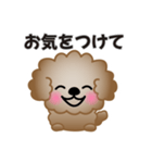 ワンコスタンプ♪トイプードル茶（個別スタンプ：31）