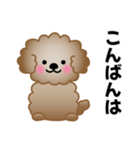 ワンコスタンプ♪トイプードル茶（個別スタンプ：38）