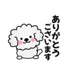 ずっと使えるワンコスタンプ♪トイプードル（個別スタンプ：1）