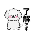 ずっと使えるワンコスタンプ♪トイプードル（個別スタンプ：3）