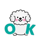 ずっと使えるワンコスタンプ♪トイプードル（個別スタンプ：4）