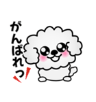 ずっと使えるワンコスタンプ♪トイプードル（個別スタンプ：8）
