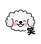 ずっと使えるワンコスタンプ♪トイプードル（個別スタンプ：10）